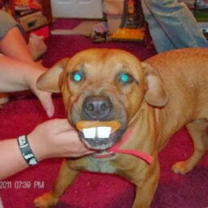 Meet your Posher, Lynn